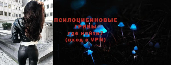 амф Алзамай