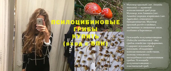 синтетический гашиш Алексин
