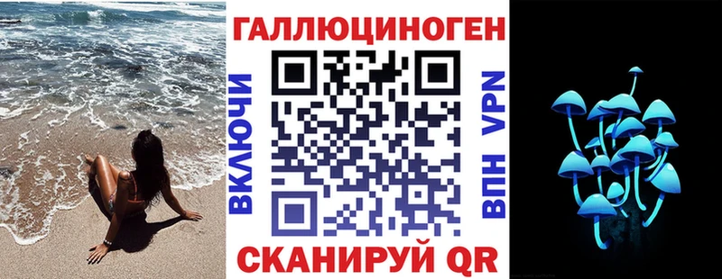 хочу наркоту  Тара  Псилоцибиновые грибы Magic Shrooms 