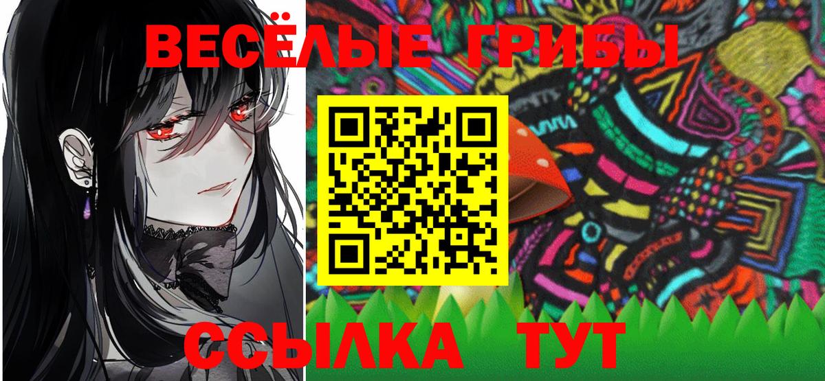 Псилоцибиновые грибы Cubensis Тара